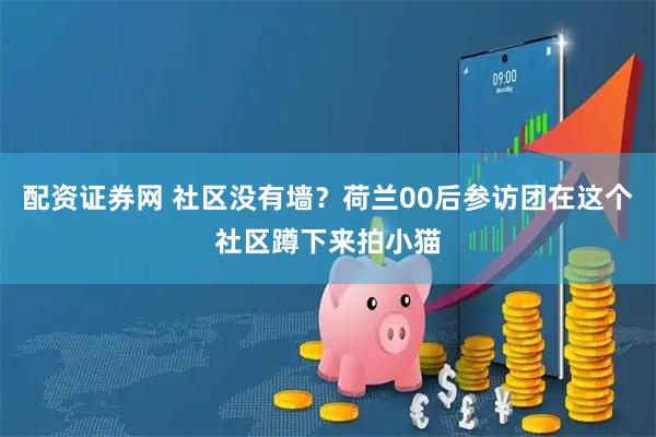 配资证券网 社区没有墙？荷兰00后参访团在这个社区蹲下来拍小猫