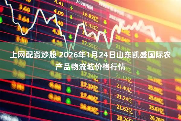 上网配资炒股 2026年1月24日山东凯盛国际农产品物流城价格行情