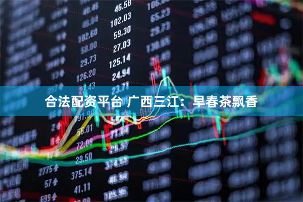 合法配资平台 广西三江：早春茶飘香